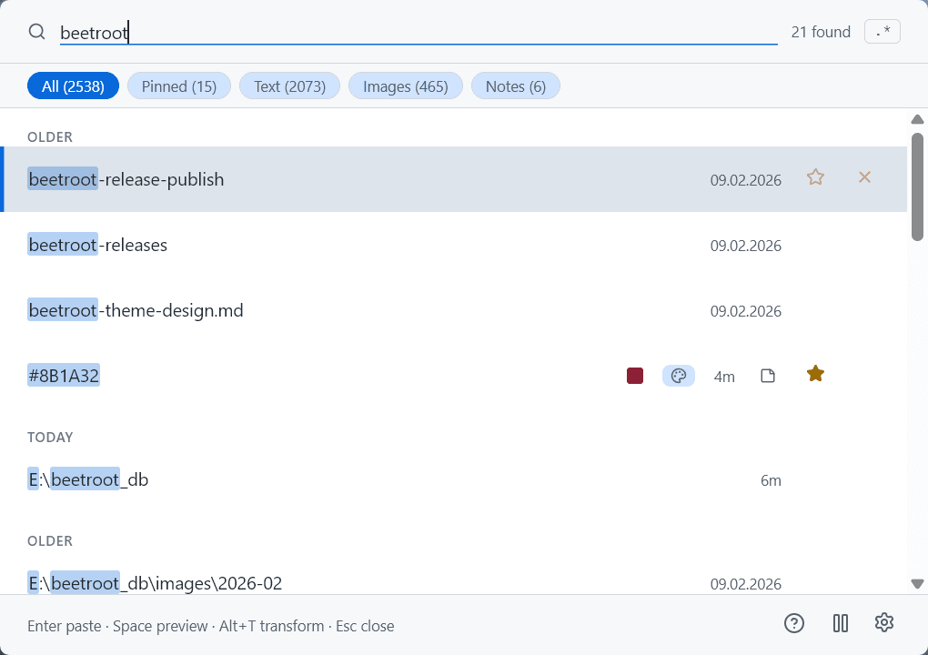 Beetroot fuzzy search interface showing results for 'beetroot' with filter tabs for All, Pinned, Text, Images, and Notes